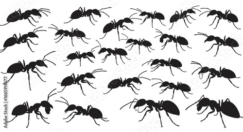 Seamless Pattern of Black Ants on White Background in Silhouette Style silhouette