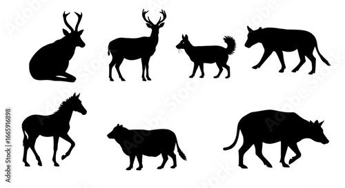 Silhouette of Various Animals