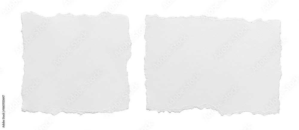 Obraz premium ripped element set of torn paper edges isolated with clipping path on background. torn paper texture, ripped of paper designs and jagged paper edges create a raw, artistic look