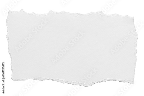 ripped element set of torn paper edges isolated with clipping path on background. torn paper texture, ripped of paper designs and jagged paper edges create a raw, artistic look