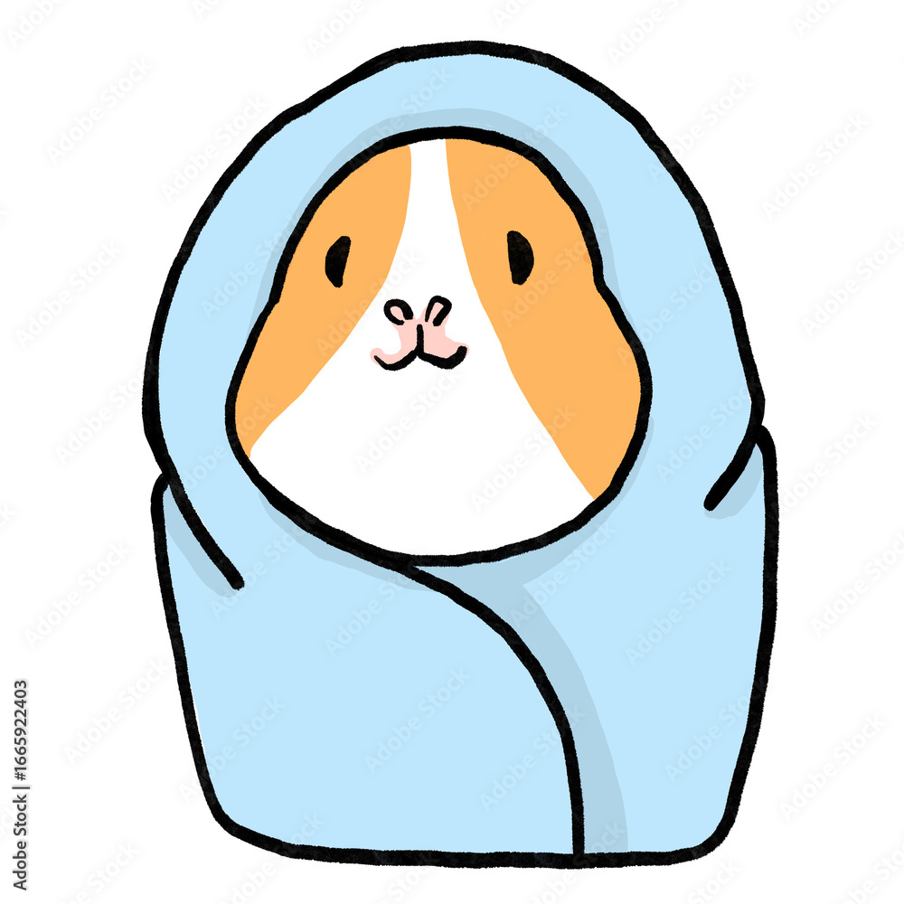 Obraz premium A guinea pig wrapped in a blue blanket, looking cozy and warm. Cute cartoon illustration of a pet in a relaxed and adorable style, ideal for merchandise and stickers.
