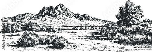 Black and white drawing of a rugged mountain range with sparse vegetation and a large tree