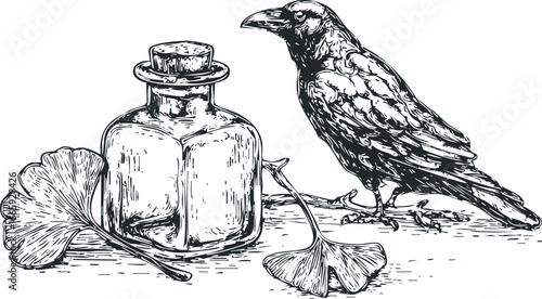 Ink drawing of a crow beside a glass bottle and ginkgo leaves