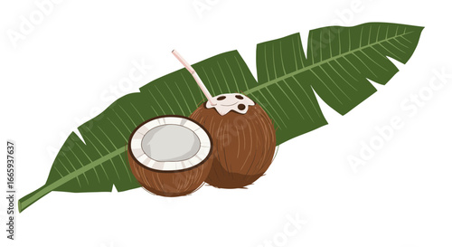 Tropical illustration of a coconut with a straw alongside a halved coconut and a vibrant green banana leaf background