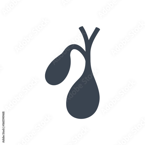 Gallbladder Anatomy Icon