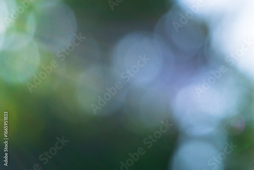 Abstract blurred photo with sun flares. Blurred green bokeh background. 