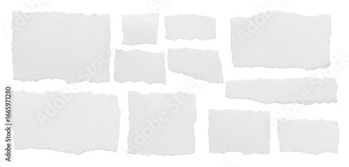 Photos ripped element set of torn paper edges isolated with clipping path on background