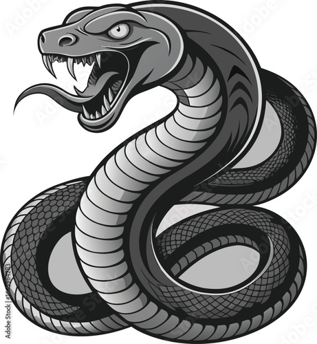 Detailed monochrome illustration of a coiled cobra snake with its mouth open on white background
