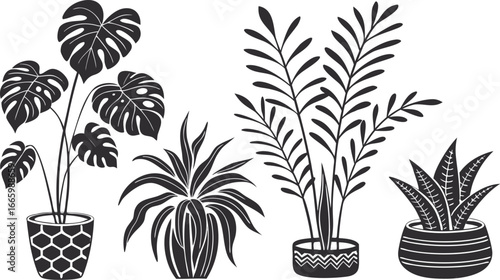 Set of indoor potted plant silhouette vector icons, perfect for gardening design, botanical home decor, foliage illustrations, eco-friendly artwork.
Exotic Palm Leaves, Monstera, and Botanical Foliage