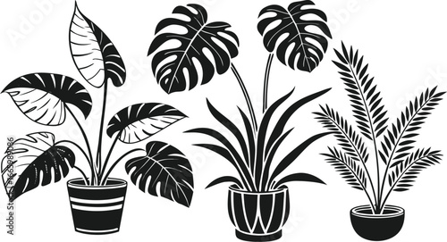 Set of indoor potted plant silhouette vector icons, perfect for gardening design, botanical home decor, foliage illustrations, eco-friendly artwork.
Exotic Palm Leaves, Monstera, and Botanical Foliage