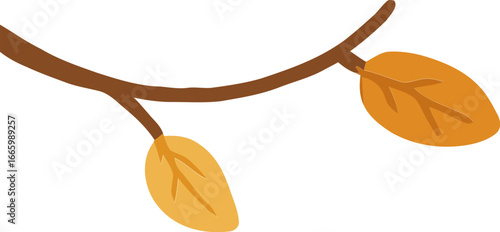 감성적인 가을 나뭇가지 일러스트