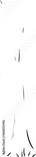 Web