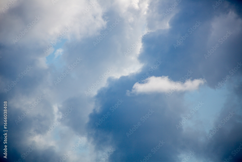 Obraz premium 奄美大島の夏の海。