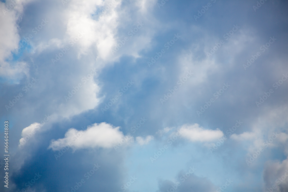 Obraz premium 奄美大島の夏の海。