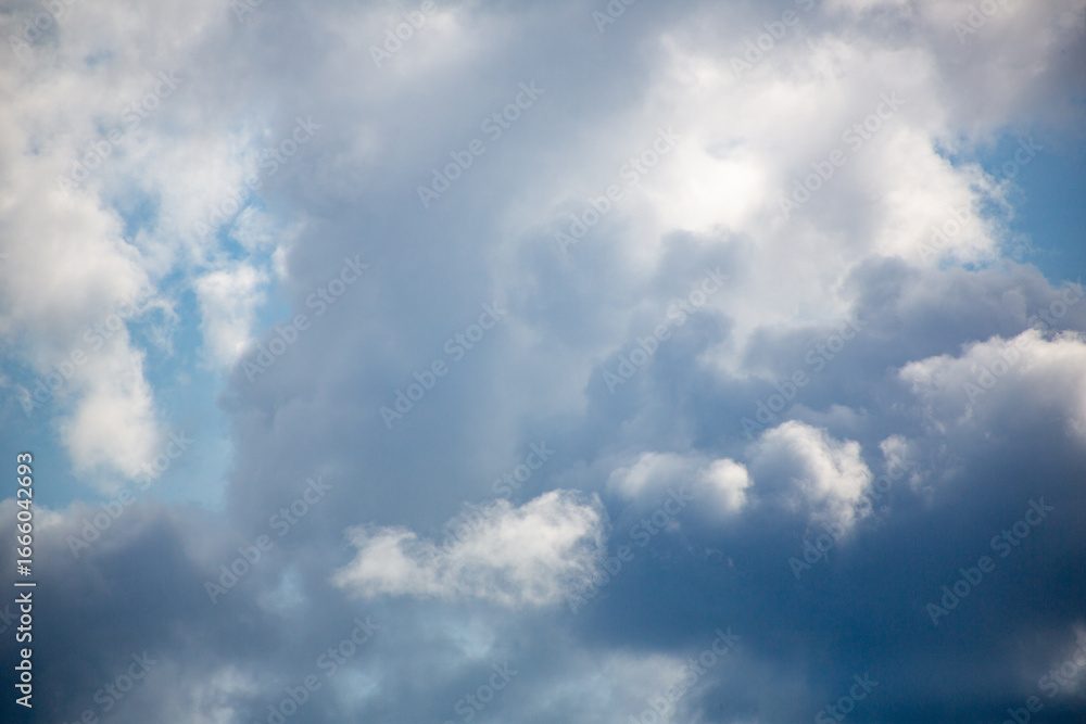 Fototapeta premium 奄美大島の夏の海。
