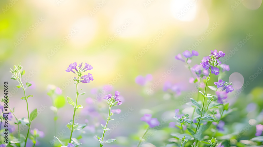 Obraz premium Light green blurry background with spring purple flowers. Spring flower background illustration.