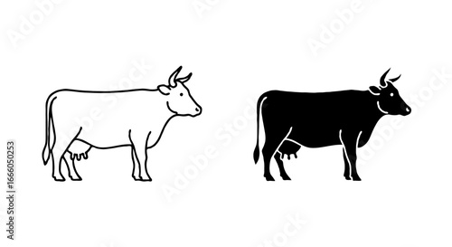 Single vector icon of a cow representing livestock | Includes a thin line art version next to a matching silhouette version. Minimal, clean, monochrome, isolated on white background