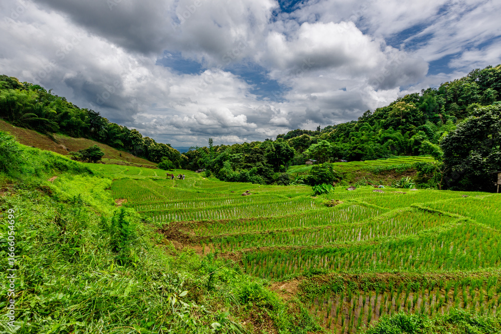 Fototapeta premium Pristine alpine lake connected to a clear river, surrounded by snow-tipped mountains and light fog.