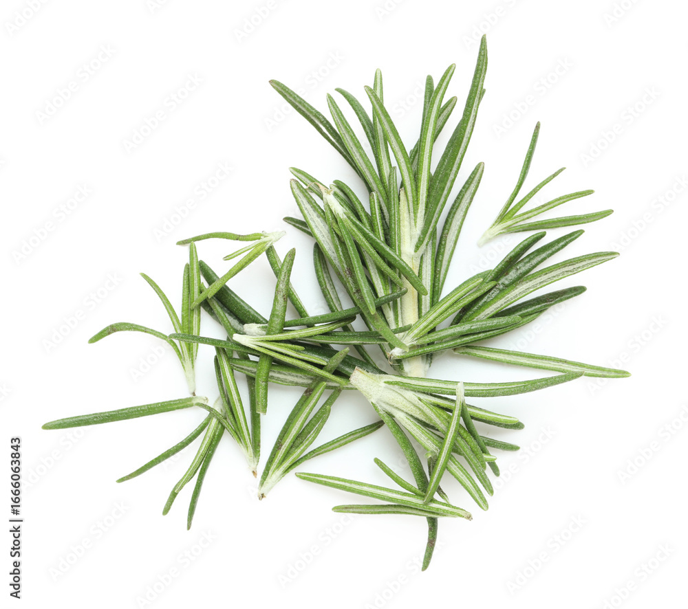 Fototapeta premium Fresh green rosemary isolated on white background, closeup