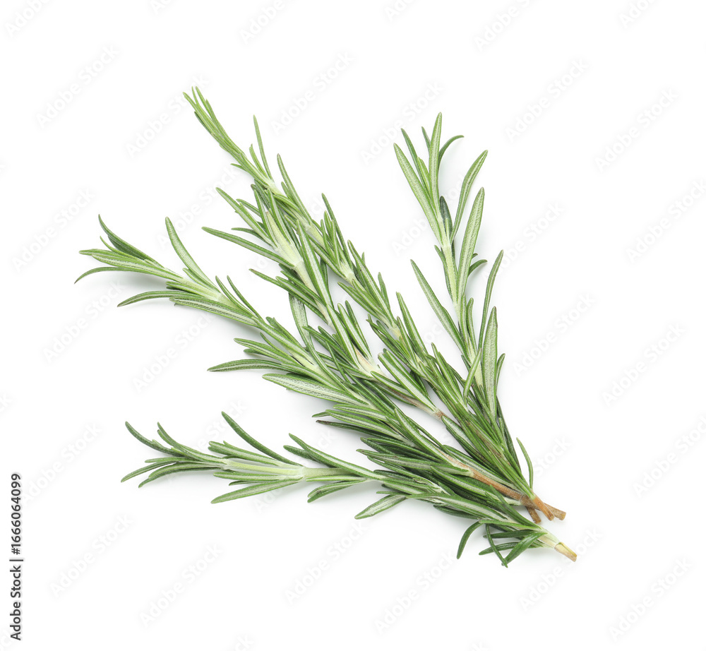 Fototapeta premium Fresh rosemary twigs isolated on white background, closeup