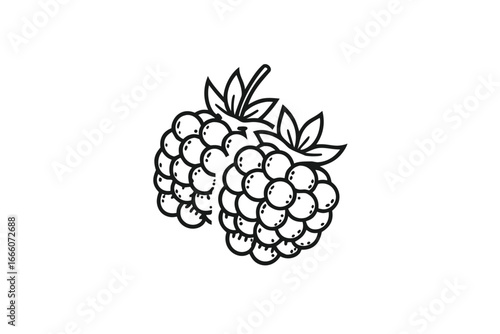 Two Black Raspberry with White Background and Leaf Detail