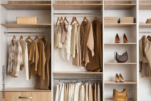 Shelves with stylish bags, ...