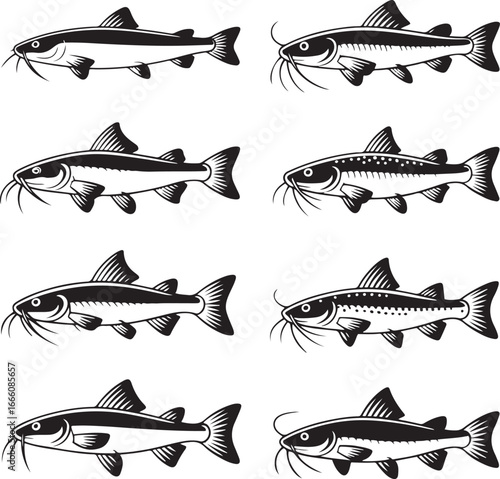 Tiger Catfish silhouette vector art illustration, Shapes Collection Isolated on White Background