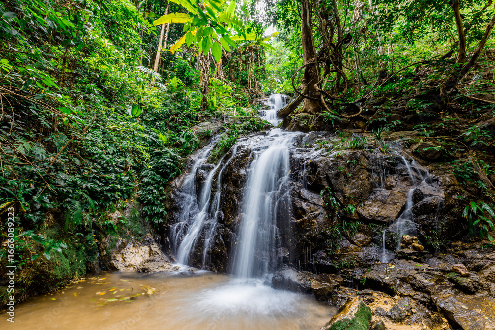 Obraz premium The natural backdrop of a waterfall in a deep forest or a reservoir by a stream, the beauty of the ecosystem, the green forest, the cool air during an adventurous trip.