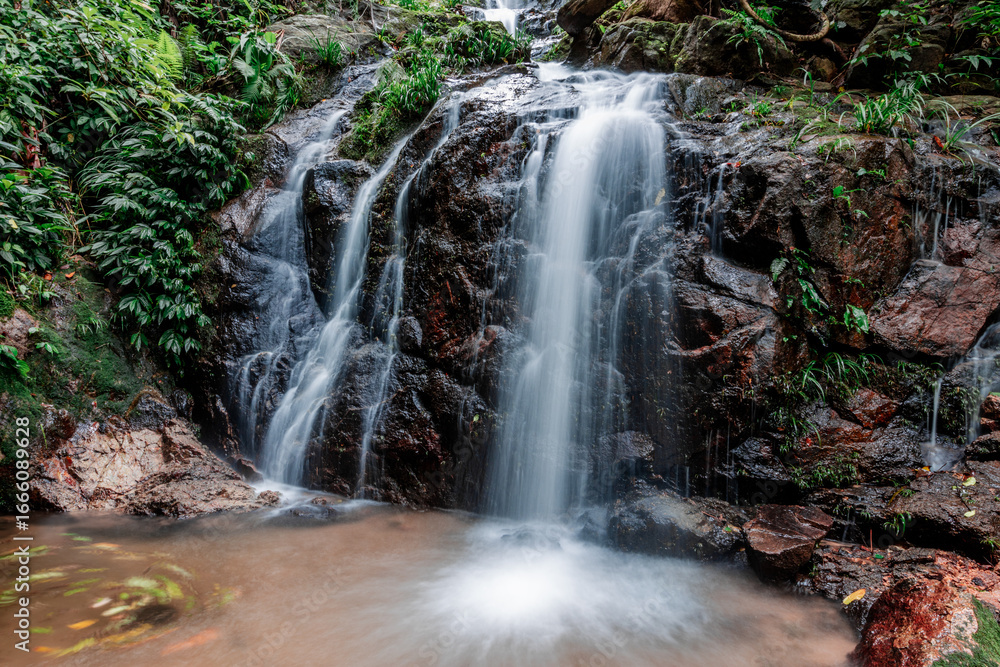 Fototapeta premium The natural backdrop of a waterfall in a deep forest or a reservoir by a stream, the beauty of the ecosystem, the green forest, the cool air during an adventurous trip.