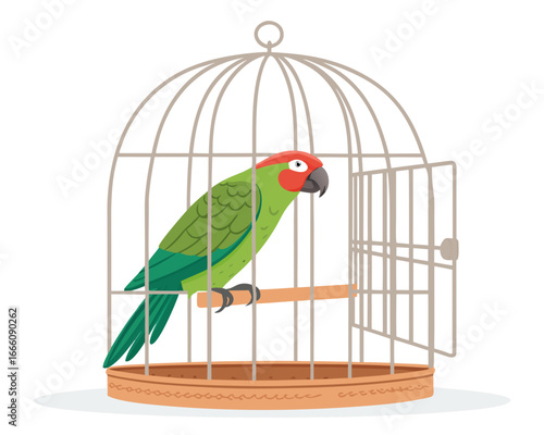 a parrot in cage