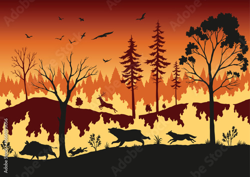 Forest fire. Burning spruces and oak trees, wood plants in flame. Forest fires in Amazon and Australia with silhouettes of wild animals