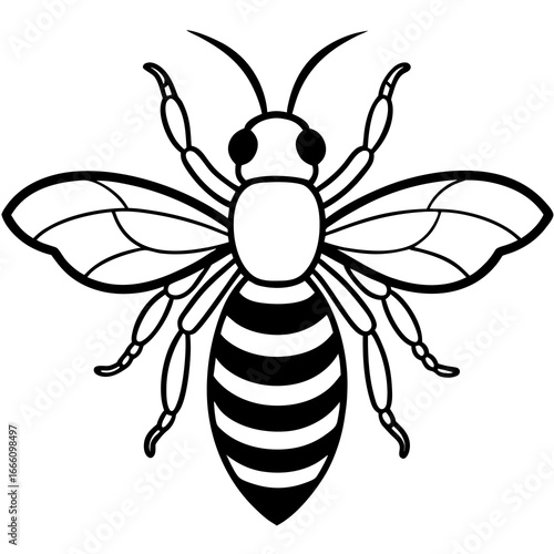 bee and flower