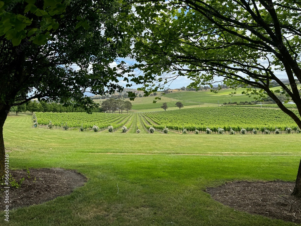 Obraz premium Environments in Melbourne, Australia