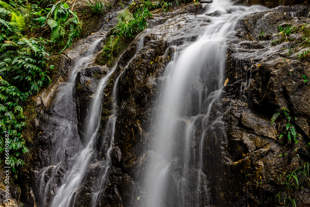 Obraz premium The natural backdrop of a waterfall in a deep forest or a reservoir by a stream, the beauty of the ecosystem, the green forest, the cool air during an adventurous trip.