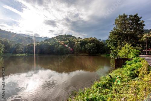 The natural background of many kinds of trees growing along the edge of a large reservoir, mountains, rivers, is a rich ecosystem that is home to many kinds of wildlife.