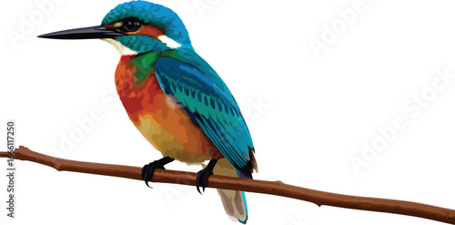 Vector color kingfisher logo art