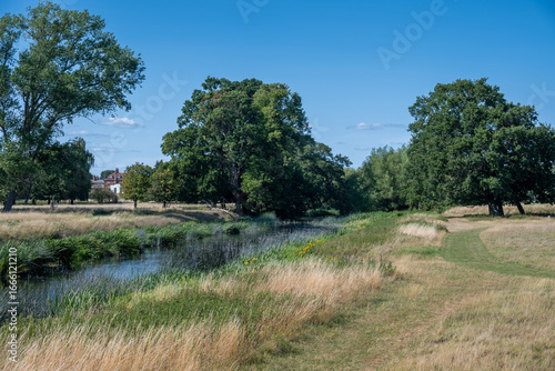 landscape with trees and river