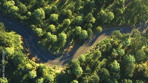 Winding Road Through Lush Green Forest, Aerial View stock image