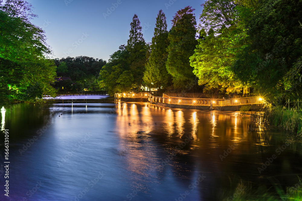 Obraz premium 井の頭公園・井の頭池の夜景【東京都・武蔵野市-三鷹市】