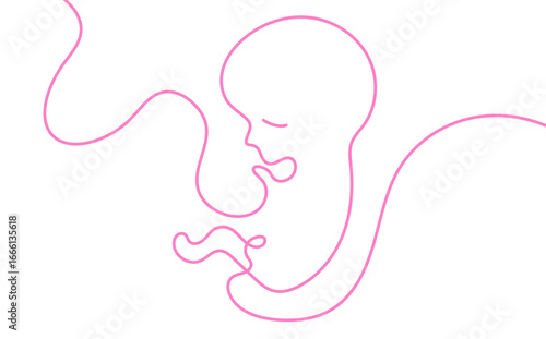 grafica, disegno, feto, bambino,, stilizzato, linea, linea singola,, filo, gravidanza, maternità