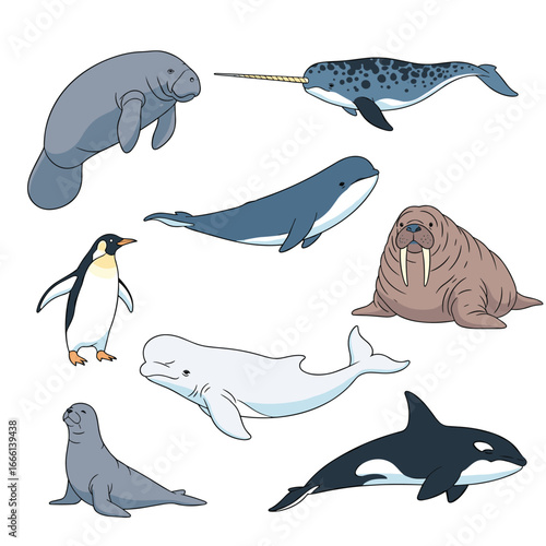 Collection of marine mammals and a penguin in artistic illustrations showcasing ocean life diversity