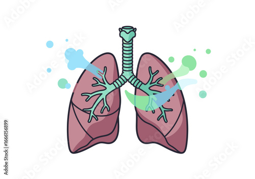 Detailed illustration of a human lung system with air bubbles indicating breathing