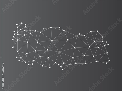 Turkey map network on gradient grey background