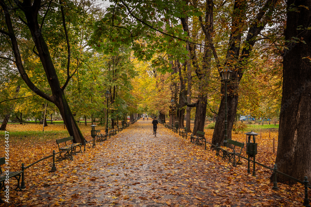Naklejka premium Autumn in Planty Park in Kraków, Poland