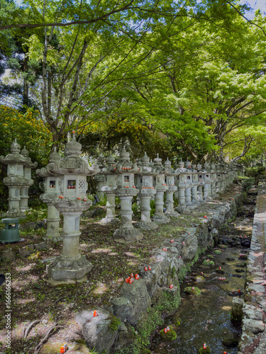 Daruma Temple
