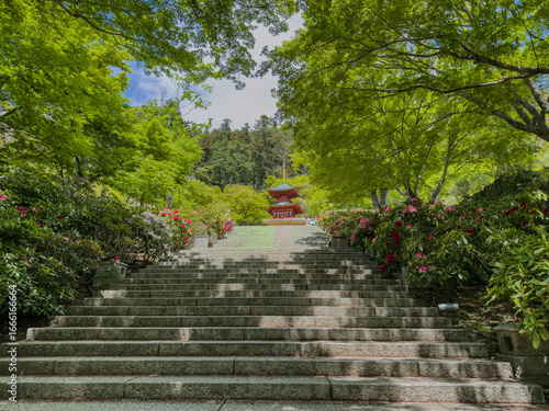 Daruma Temple