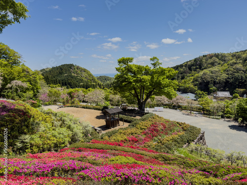 Daruma Temple