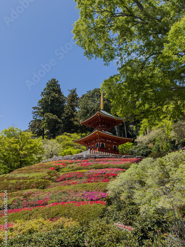 Daruma Temple