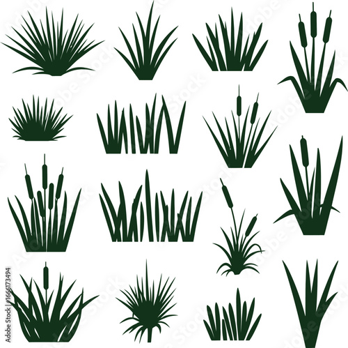 Collection of various green grass and reeds silhouettes on white