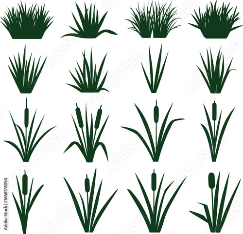 Collection of grass and reed silhouettes vector illustration for design
